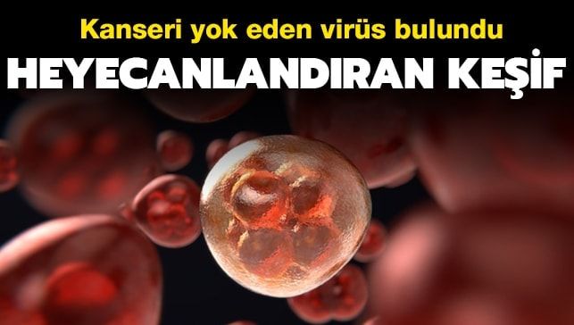 Kanser hücrelerini yok eden virüs bulundu
