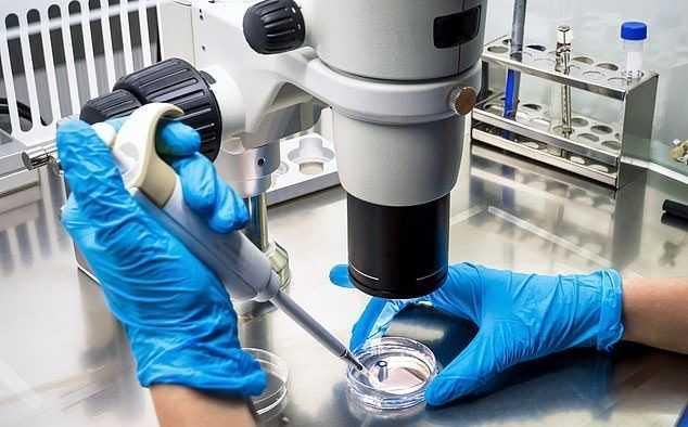 Kanser hücrelerini yok eden virüs bulundu