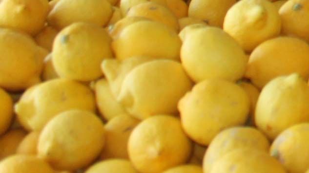 Limon üreticisine ihracat izni çıktı