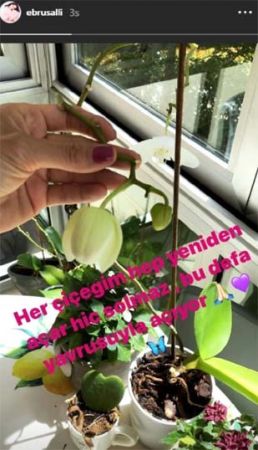 Evlat acısı yaşayan Ebru Şallı’dan duygulandıran paylaşım