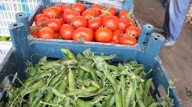 Sebze arzı patladı, fiyatlar halde dip yaptı, markette fırladı