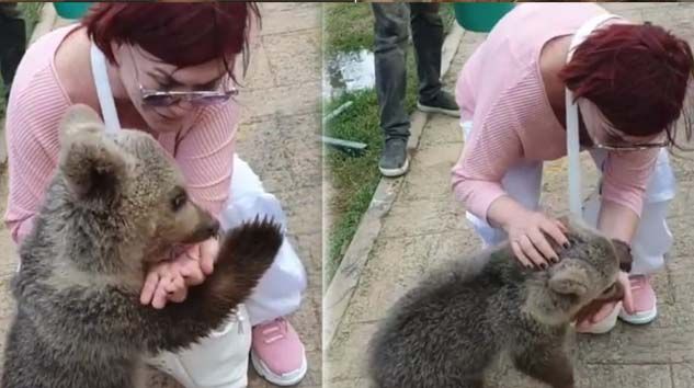 Ünlü oyuncu Emel Müftüoğlu’na yavru ayı böyle saldırdı
