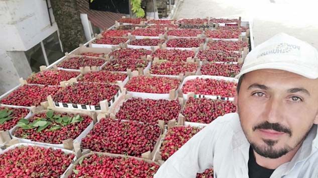 İlk kirazın kilosu 10 lira