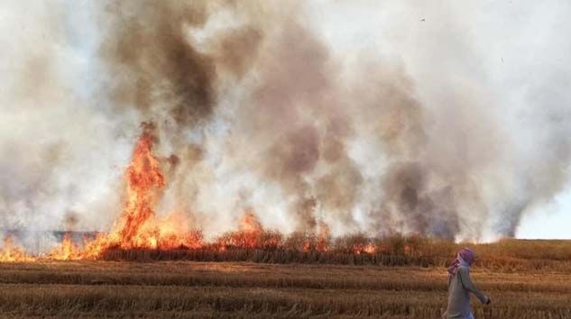 YPG/PKK Deyrizor’da sivillerin tarım arazilerini yaktı