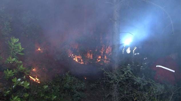 Aydos Ormanı’nda havai fişek nedeniyle yangın çıktı