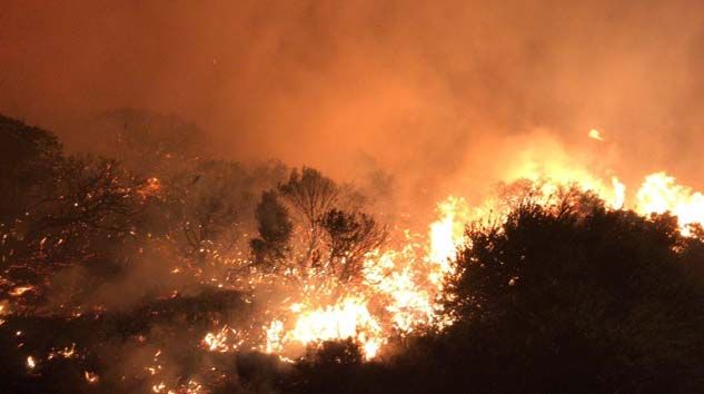 Antalya’nın Kaş ilçesindeki orman yangını kontrol altına alındı