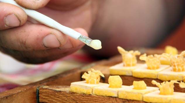 ‘Arı sütü’nün gramı 8 TL, kilosu ise 8 bin TL’den satılıyor