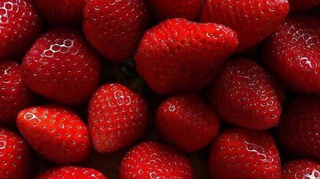 Tuzlu suda bekletilen çileğin içinden böcek çıkıyor