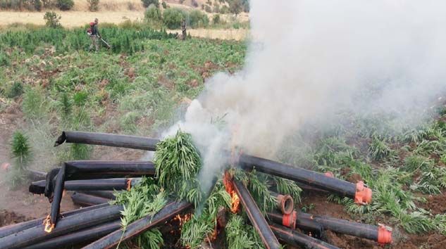 Diyarbakır’da terörün finans kaynağına büyük darbe