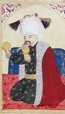 KIZIL ELMA  ALTIN ELMA