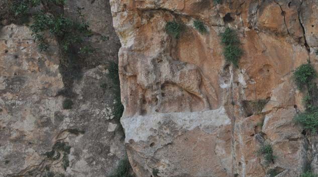 Cumhurbaşkanı Erdoğan hassas alan ilan etti, defineciler tahrip etti