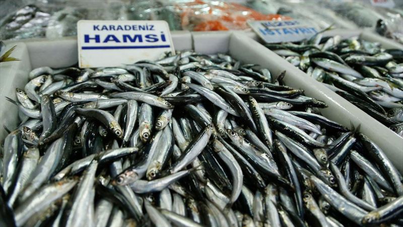 Balıkçılar yeni yılda hamsi sevinci yaşıyor