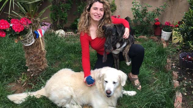 Oyuncu Gamze Topuz’un köpeklerine çivili kemik attılar