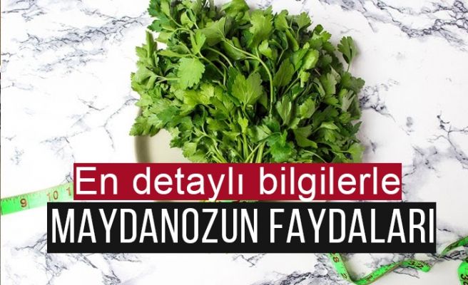 Faydaları saymakla bitmiyor..