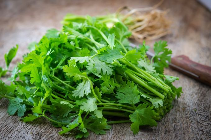 Faydaları saymakla bitmiyor..