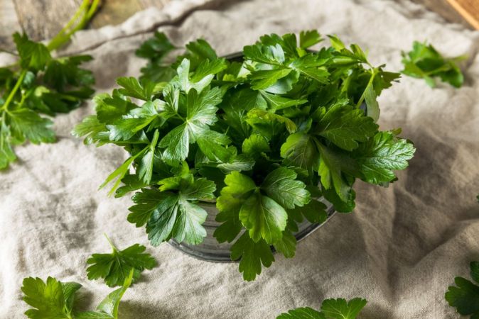 Faydaları saymakla bitmiyor..