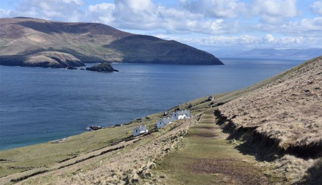 Sosyal medya bu iş ilanını konuşuyor!