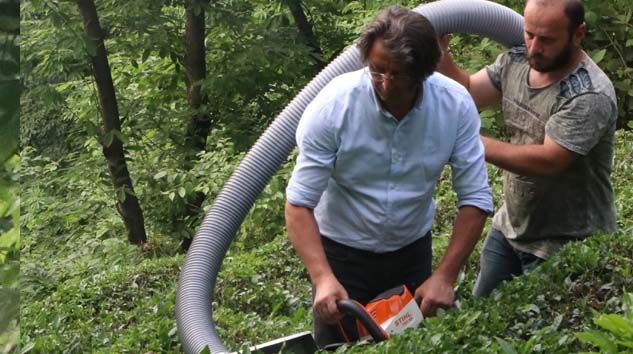 Çay toplamak için devrim niteliğinde çay kesme sistemi