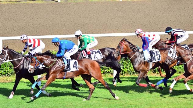 At yarışlarında heyecan yarın başlayacak