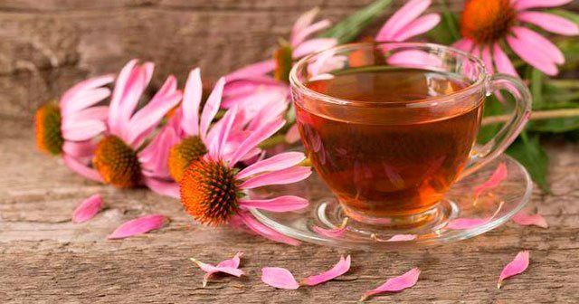 Soğuk algınlığına doğal tedavi: Ekinezya