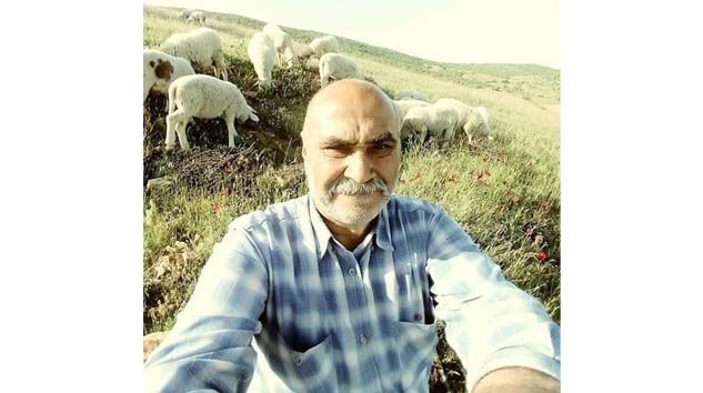 Koyun otlatmaya giden Cemal Akgün ölü bulundu