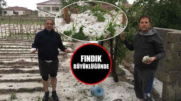 Yozgat Sorgun’da dolu ekili arazilere zarar verdi