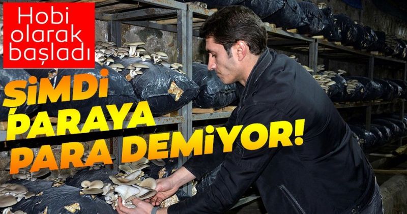 Hobi olarak başladı, Şimdi paraya para demiyor