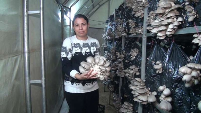 Hobi olarak başladı, Şimdi paraya para demiyor