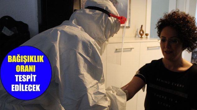 İstanbul’da 8 bin 118 haneye antikor testi