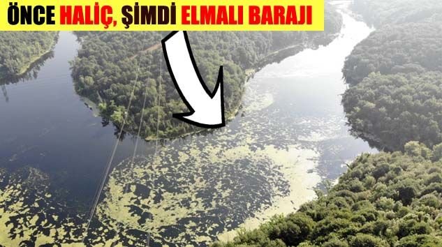 Barajda korkutan görüntü