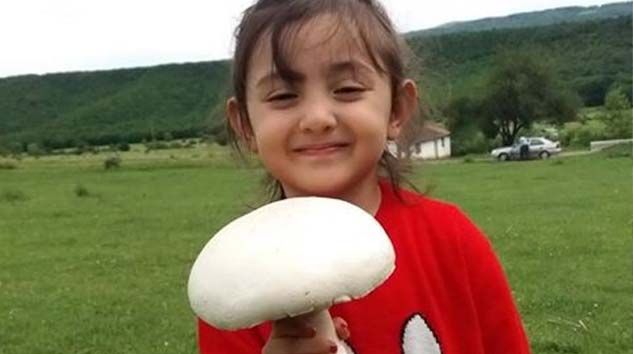 Ormanda gezerken buldular