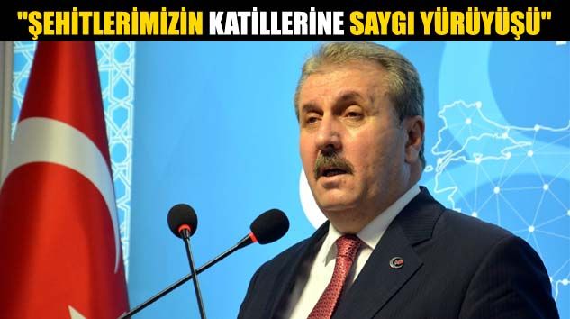 Destici: Bu bir ‘demokrasi yürüyüşü’ değildir
