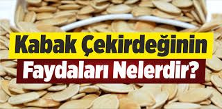 İşte kanser önleyici kabak çekirdeği faydaları…