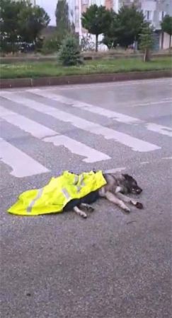 Sorgun’da polis memurları Burak Okusal ve Emrah Tüzün’ün çabaları yetmedi