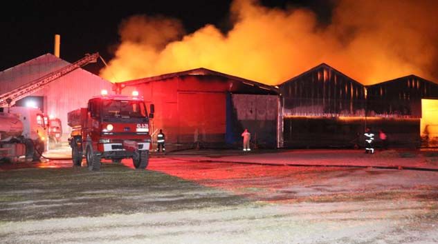 Aksaray’da yem fabrikası ve yonca deposu alev alev yandı