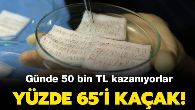 Günde 50 Bin Kazanıyorlar.!
