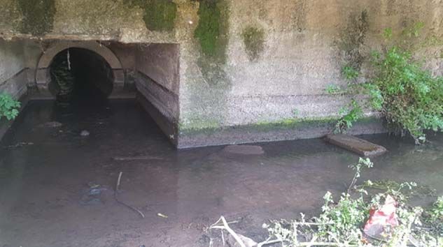 İznik Gölü’ne karışan derenin rengi siyaha döndü