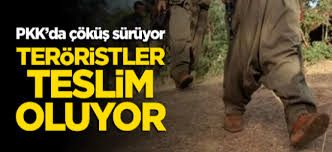 Terör örgütü PKK’da çöküş sürüyor! Güvenlik güçlerine teslim oldular