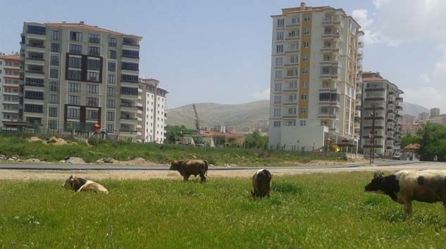 Çiftçi proje başvuruları 7 Temmuz’a uzatıldı