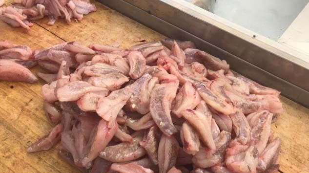 Dışı zehirli içi lezzetli olarak bilinen balığın adı nedir