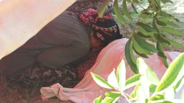 Aydın’da ceviz ağacından düşen Resul İnanlı hayatını kaybetti