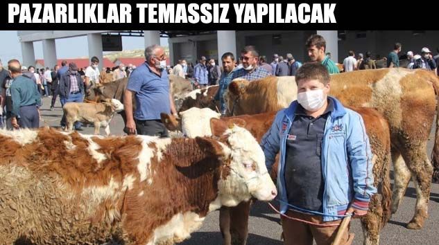 Kurban tedbirleri açıklandı
