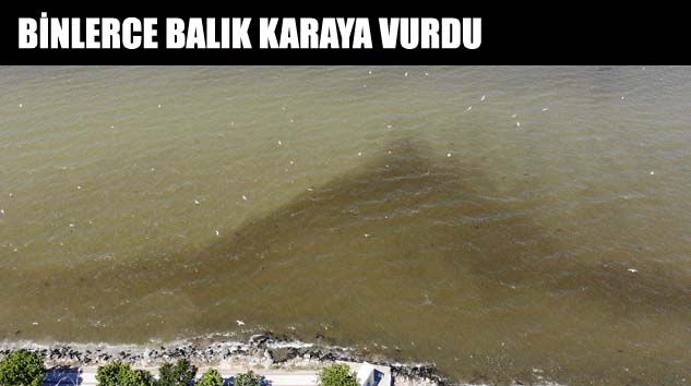 Küçükçekmece Gölü’nde oluşan kirlik havadan görüntülendi