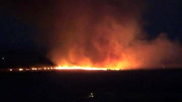 Yıldırım düştü 300 dönüm ekili arazi kül oldu