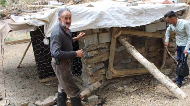 Köpekler ahıra girip 72 tavuğu telef etti