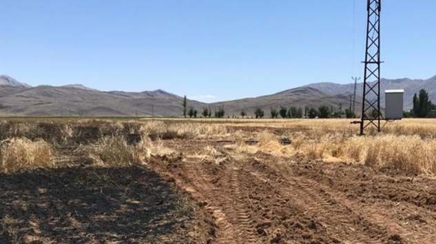 Elektrik teline çarpan karga buğday tarlasını yaktı