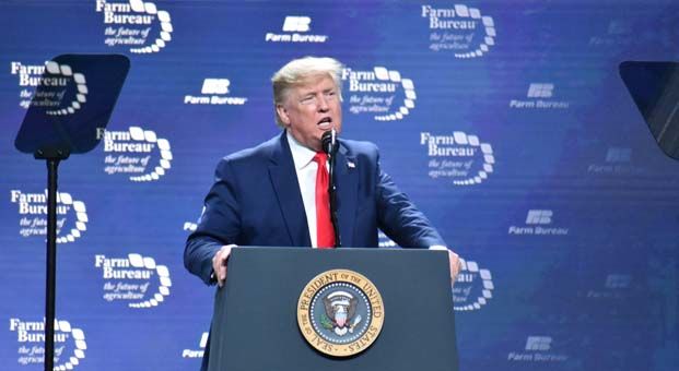 Trump’ı aklamak için 110 sayfalık rapor hazır