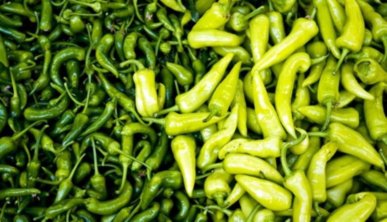 Analiz yapıldı! Üç sebzede yasak zehir