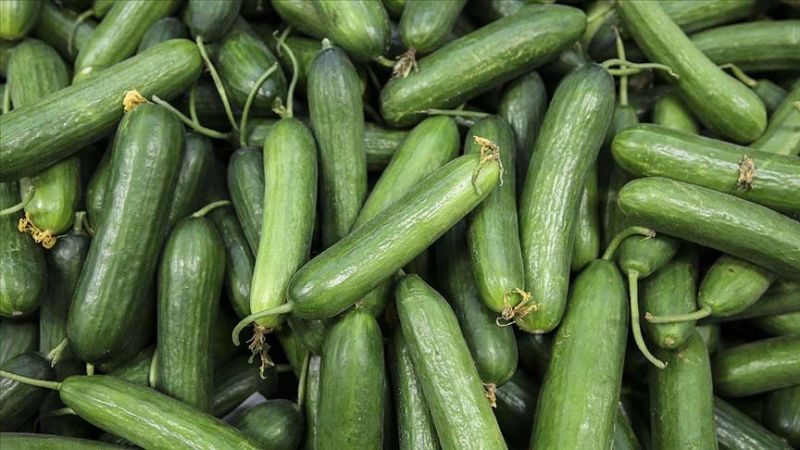 Analiz yapıldı! Üç sebzede yasak zehir