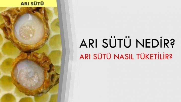 Arı Sütü Nedir? Arı Sütü Nasıl Tüketilir?